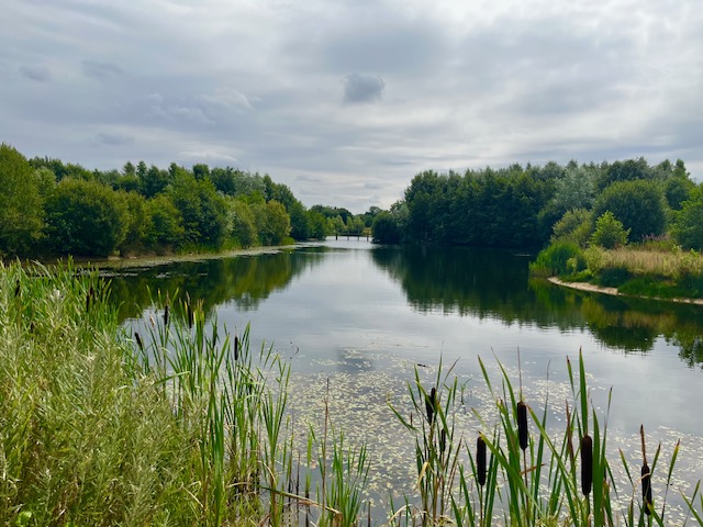 Lake, trees, nature, outdoors, tranquil, reflections, Counselling in York, therapy, counselling, mental health, person centred therapy, wellbeing