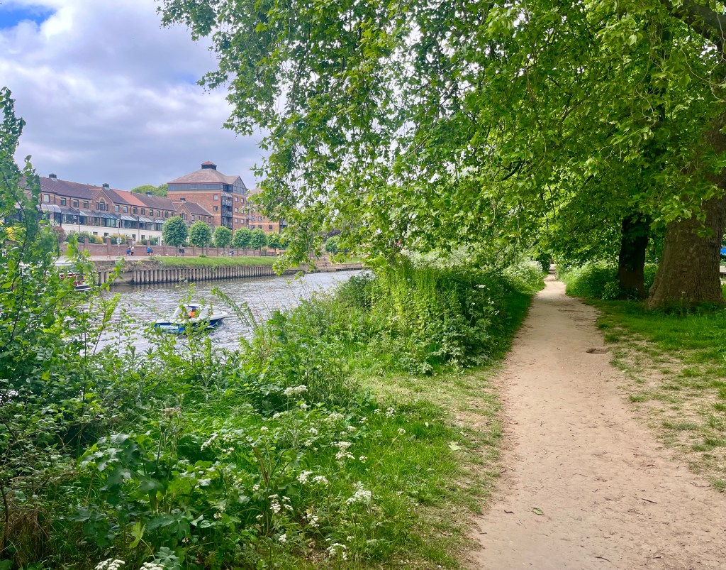 An image of a walk and talk route along the river Ouse York showing a path trees and the river 